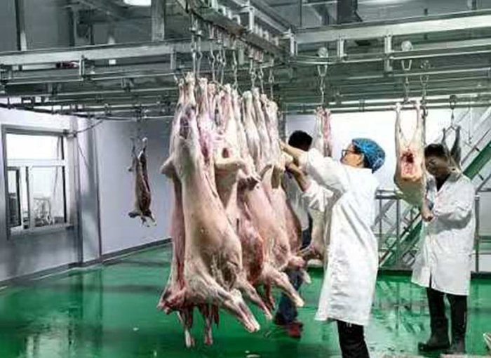 Конвейер для снятия шкуры