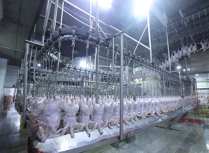 Продувочная конвейерная линия